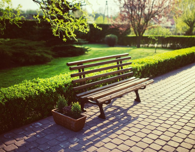 bench-in-the-garden-5760